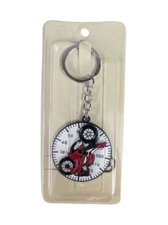 Bike key chain